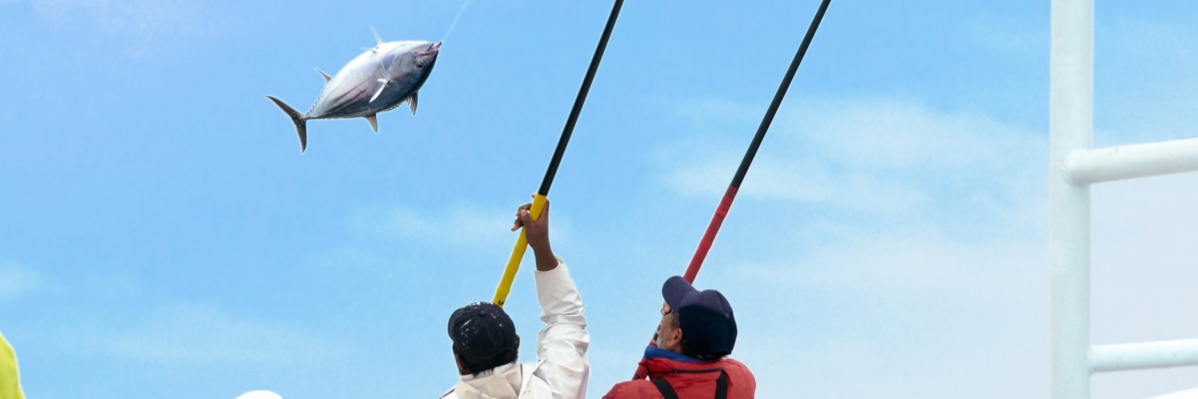 ”トップ画像”