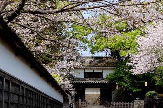 伝統文化・歴史資産の保存支援01