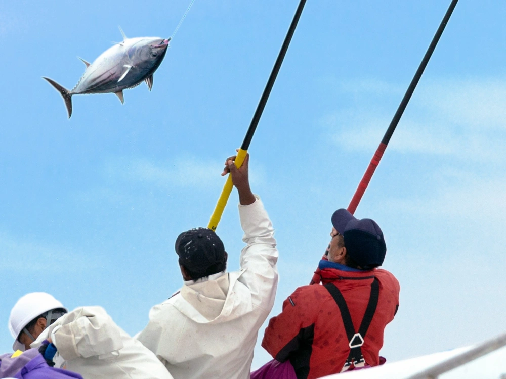 ”トップ画像”