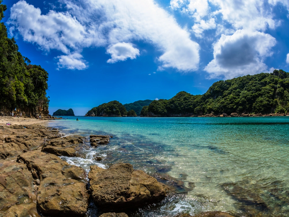 ”トップ画像”