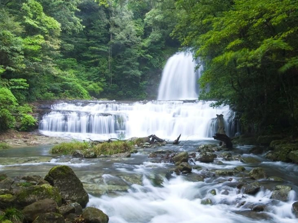 ”トップ画像”